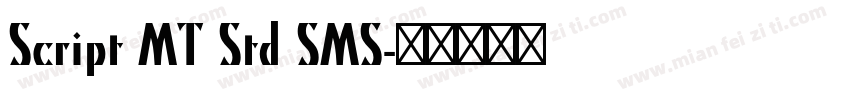 Script MT Std SMS字体转换